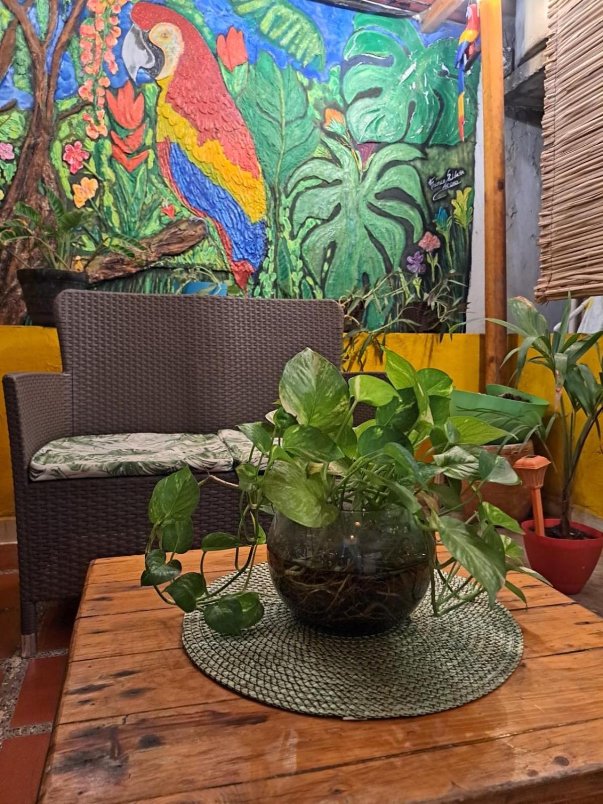 Hostel Shalom Adonai Cartagena 외부 사진